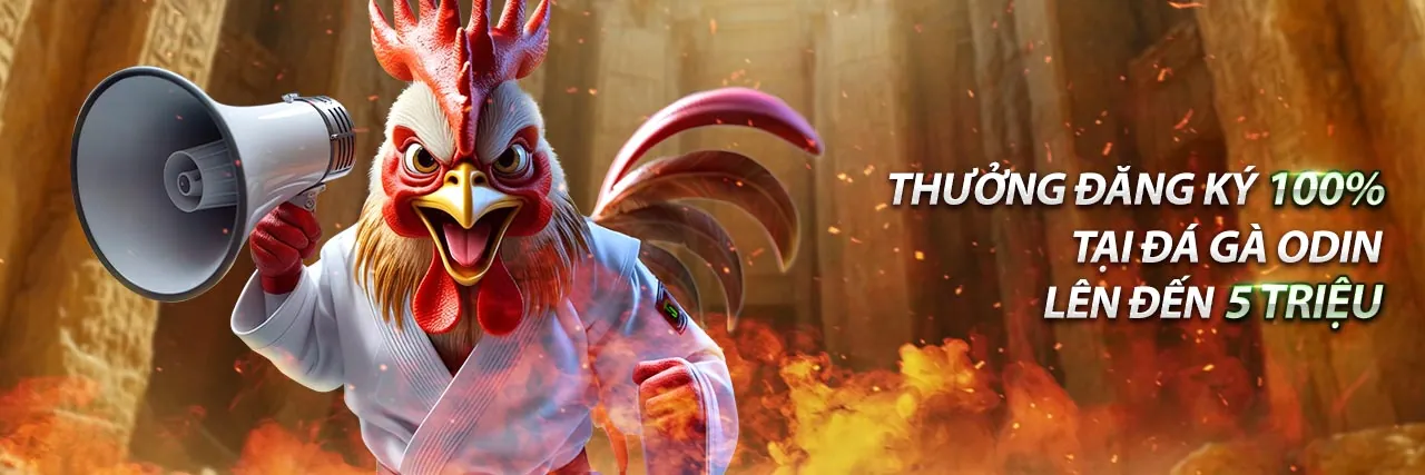 Biểu ngữ tuân thủ GDPR của hi888 link